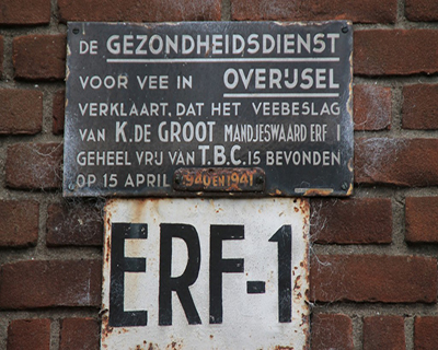 2 Erf1
