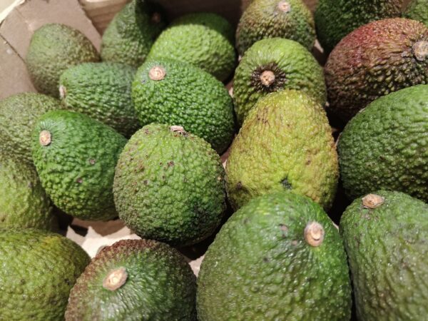 1 Avocado - BIO