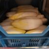 500 gram Witlof - BIO