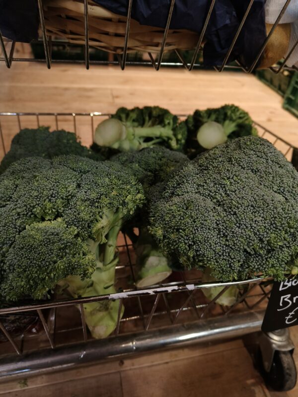 bio broccoli