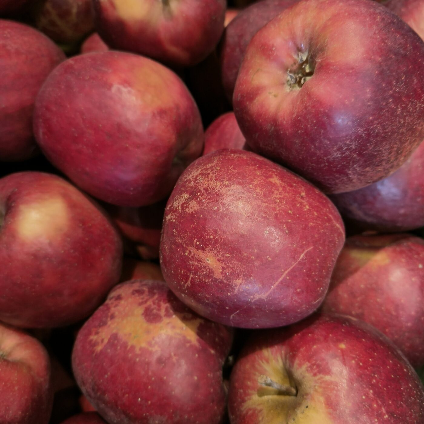 Appels Inored bio