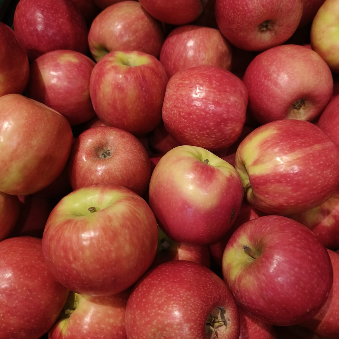 Appels Pink Cripps per kg - BIO
