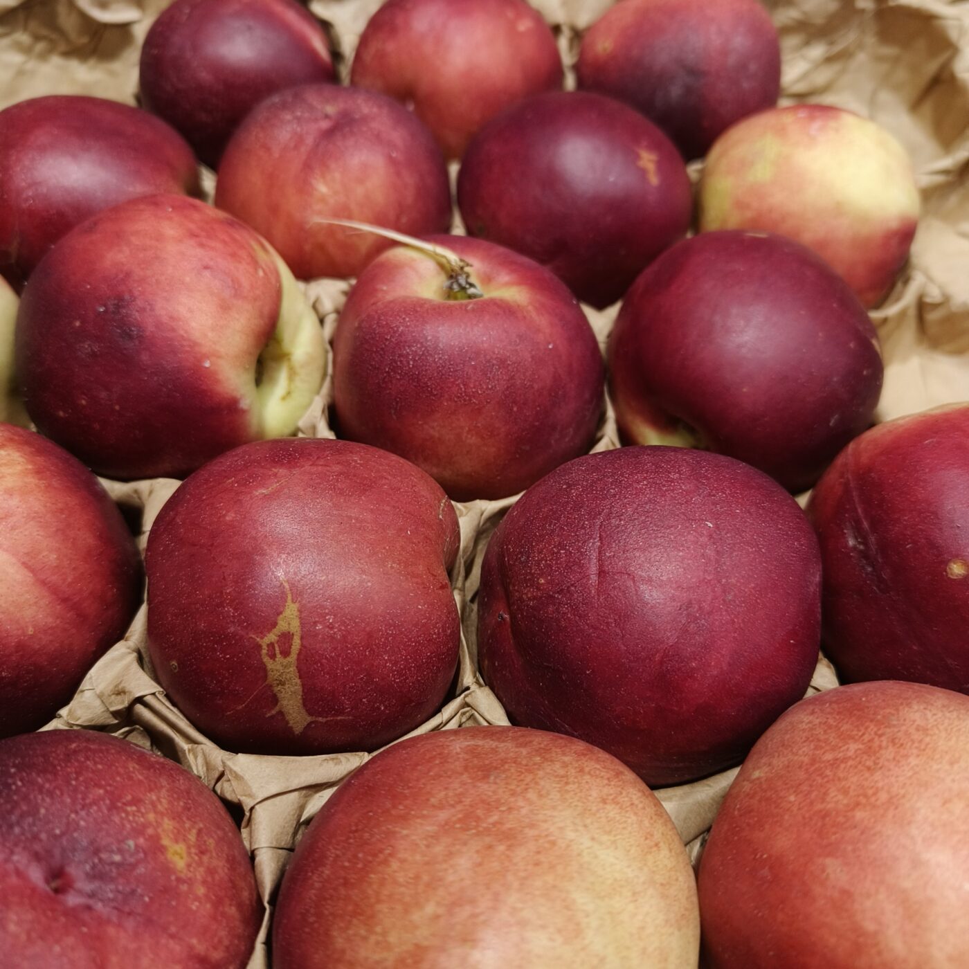 Nectarine 500g - BIO