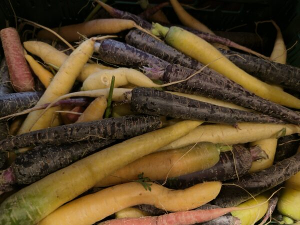 Regenboog peen per kg - BIO
